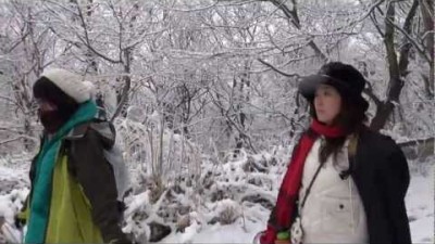 香川県で里山登山しています。